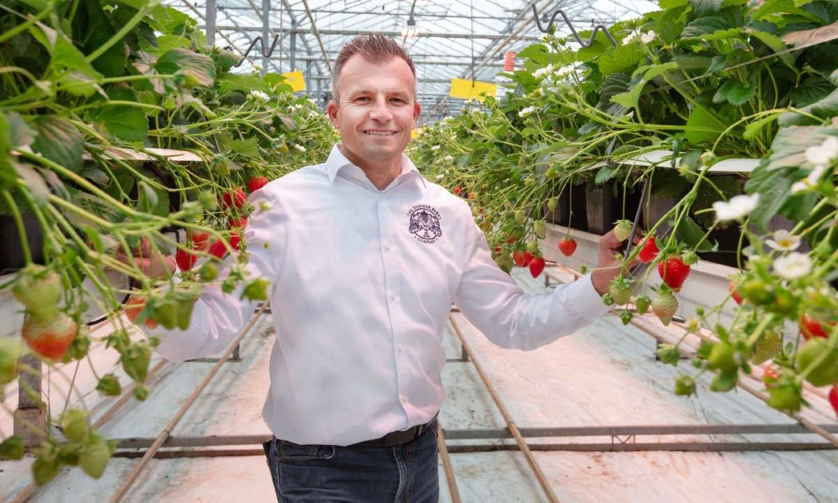 Two CO2 heat pumps serve TSBC's greenhouse in the U.K.