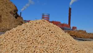 Wooden pellets used as biofuel at a combined heating a power plant in Falun, Sweden.